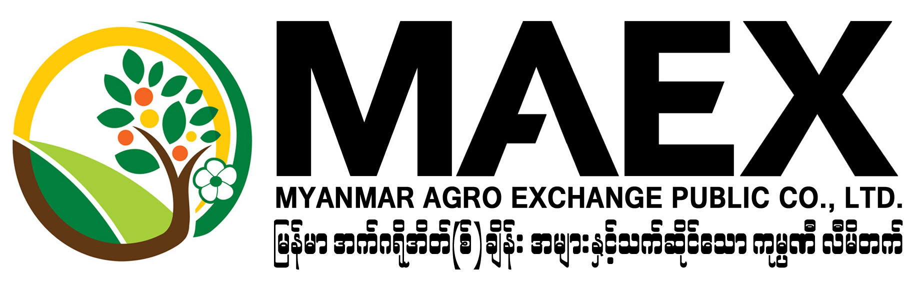 မြန်မာအက်ဂရိုအိတ်(စ်)ချိန်း အများနှင့်သက်ဆိုင်သော ကုမ္ပဏီလီမိတက်